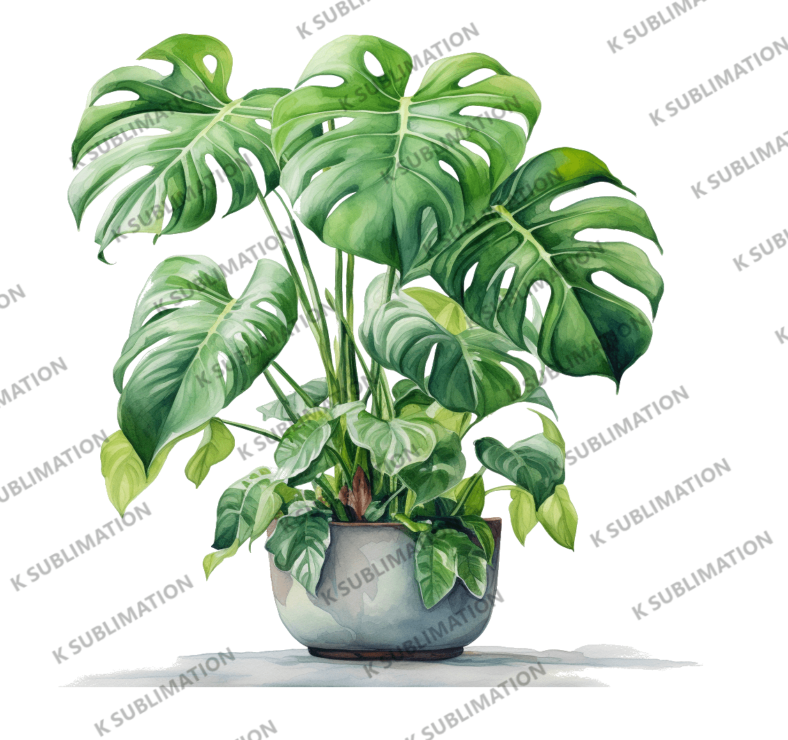 Thermos et tasse - Monstera - K Sublimation